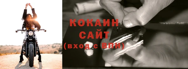 прущие грибы Богородицк