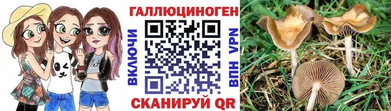 Псилоцибиновые грибы Psilocybe  наркотики  Вязьма 