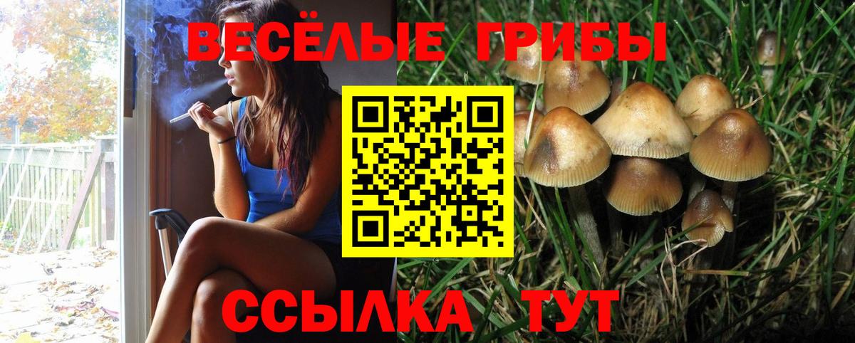 Псилоцибиновые грибы мицелий  Вход с VPN  Вязьма 