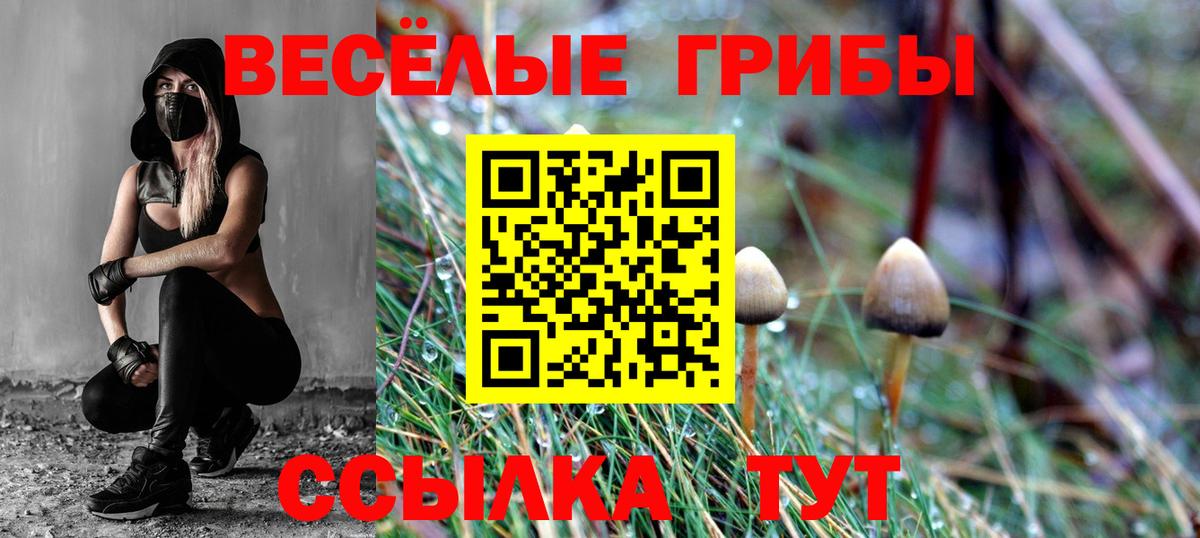 Псилоцибиновые грибы Psilocybine cubensis Вязьма